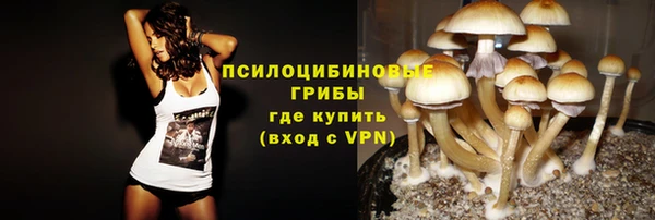 прущие крисы Слюдянка