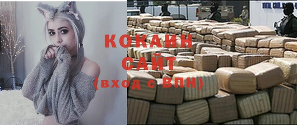 дживик Кинешма