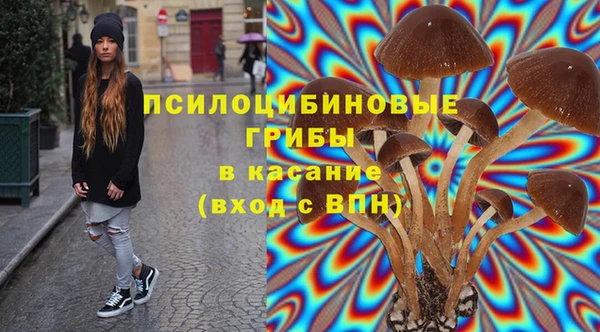 таблы Богородицк