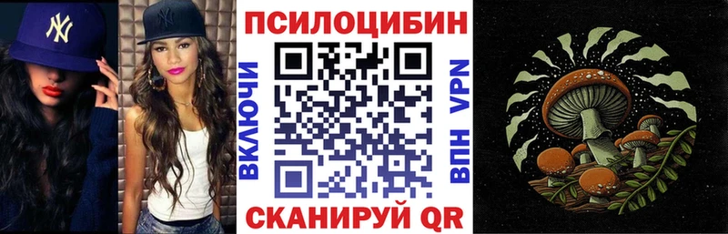 Псилоцибиновые грибы Cubensis купить закладку Сухой Лог