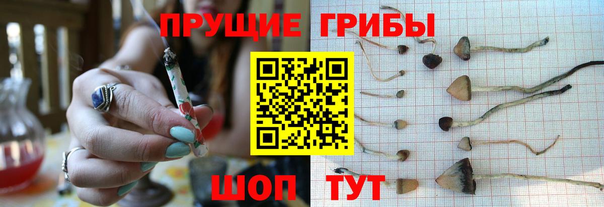 Галлюциногенные грибы прущие грибы  Галлюциногенные грибы прущие грибы  купить  цена  Сухой Лог  Вход с VPN 